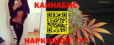 прущие грибы Заводоуковск