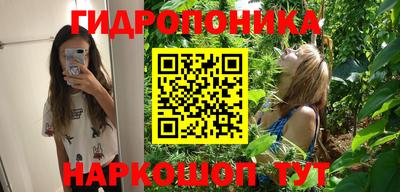прущие грибы Заводоуковск