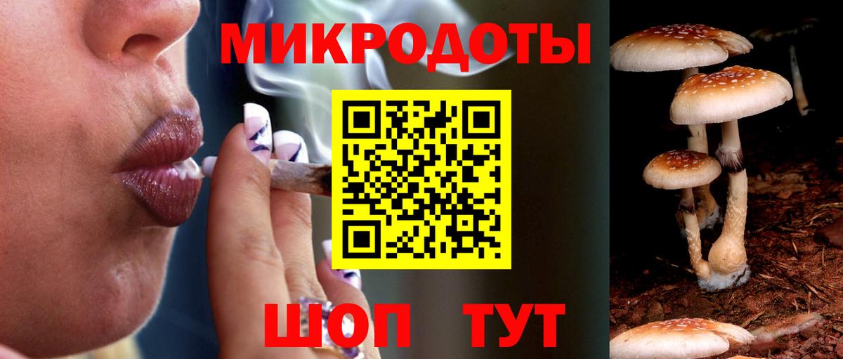 Малоярославец  Галлюциногенные грибы мухоморы  Вход с VPN 